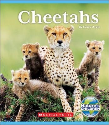 Cheetahs (Nature's Children)