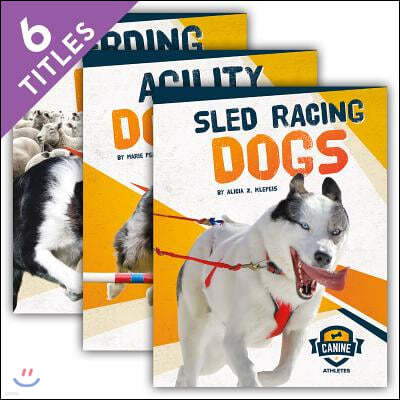 Canine Athletes (Set)
