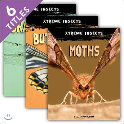 Xtreme Insects Set 2 (Set)