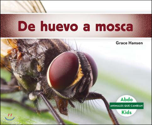 de Huevo a Mosca (Becoming a Fly)