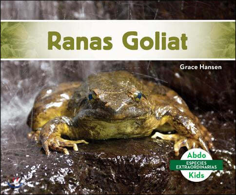 Ranas Goliat (Goliath Frogs)