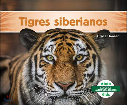 Tigres Siberianos (Siberian Tigers)