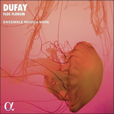 Ensemble Musica Nova : ' ' -  Ƹ   (Dufay: 'Flos Florum' -  Motets, Hymns, Antiphons) ӻ ī 
