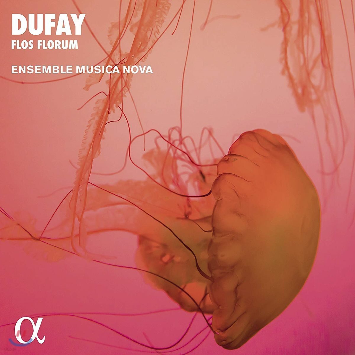 Ensemble Musica Nova 뒤파이: '꽃중의 꽃' - 성모 마리아를 위한 찬가 (Dufay: 'Flos Florum' -  Motets, Hymns, Antiphons) 앙상블 무지카 노바
