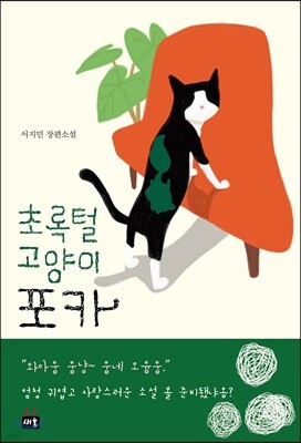 초록털 고양이 포카