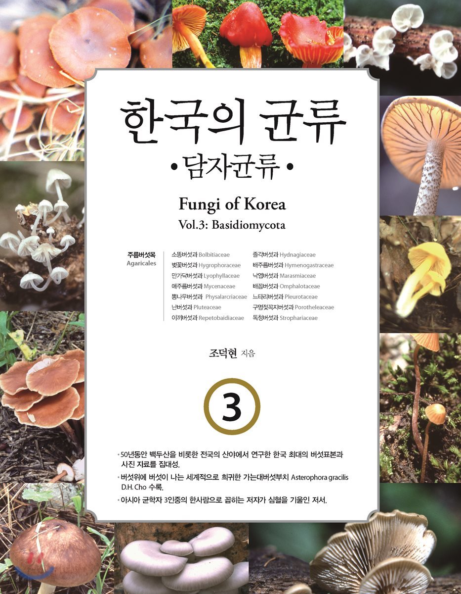 한국의 균류 3