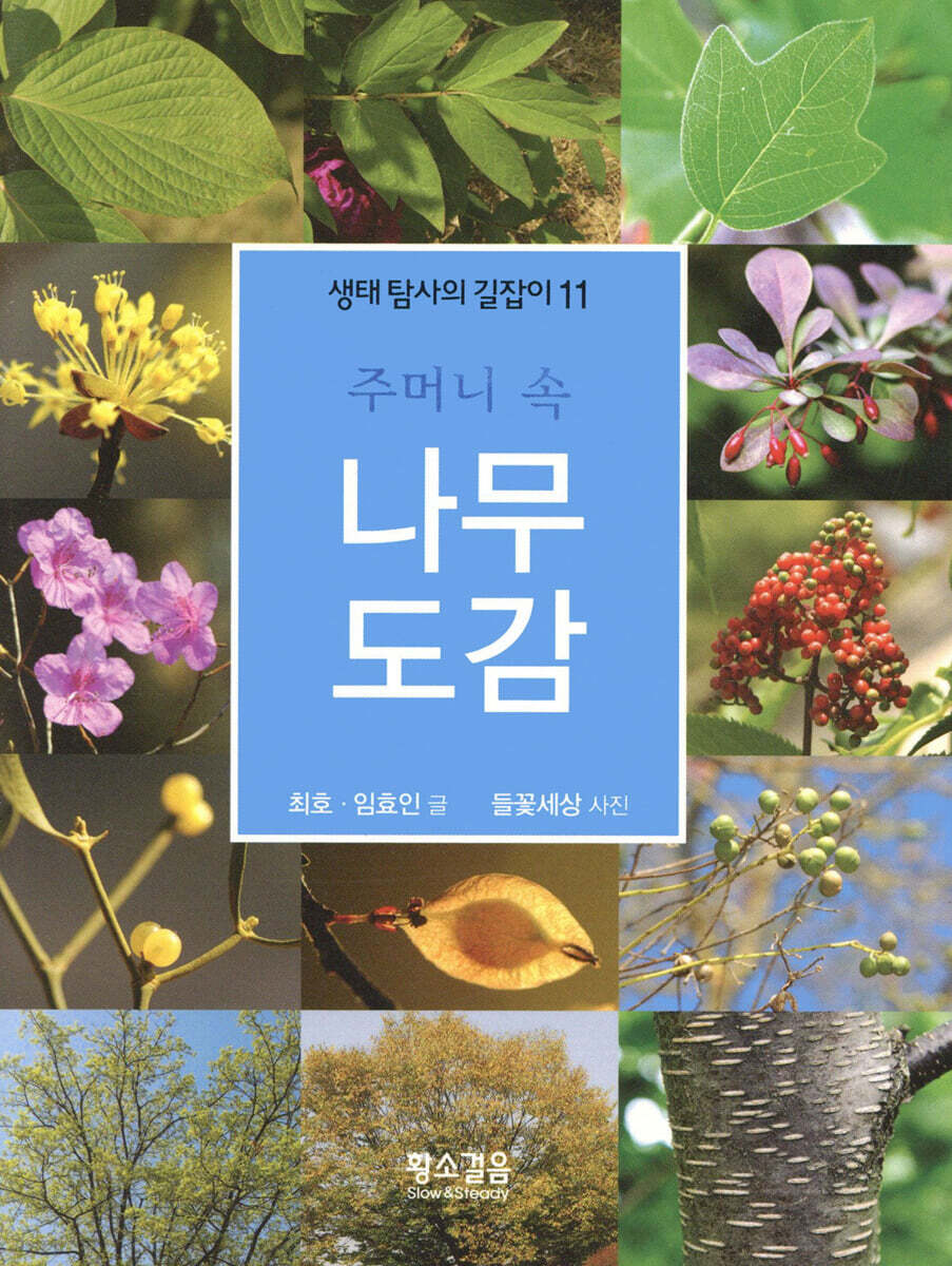 주머니 속 나무 도감