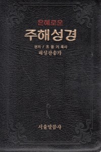 은혜로운 주해성경 찬송가 - 부록 창작복음성가 (지퍼/반달색인/금박)