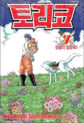 토리코 7