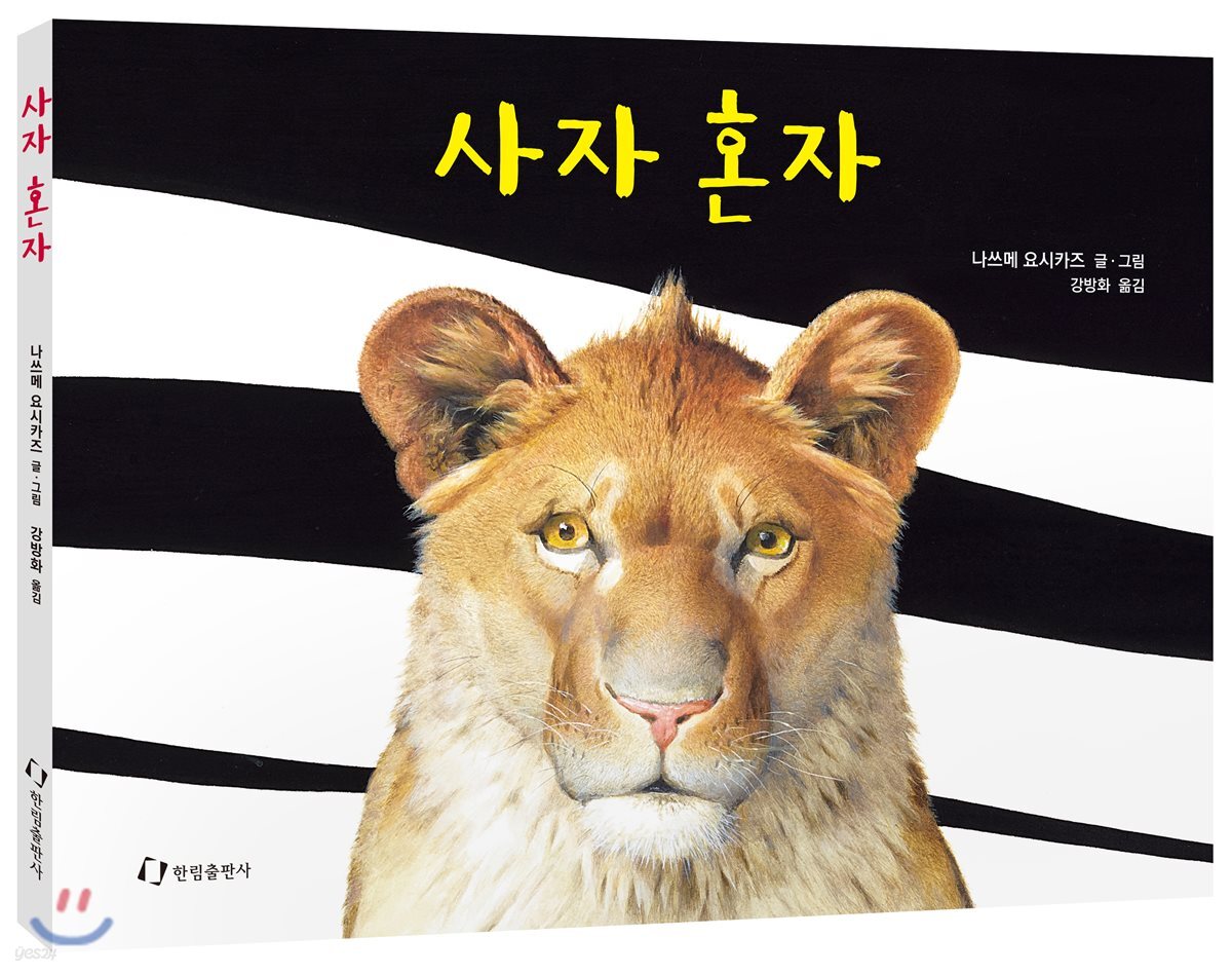 사자 혼자