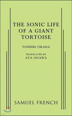 A Sonic Life of a Giant Tortoise