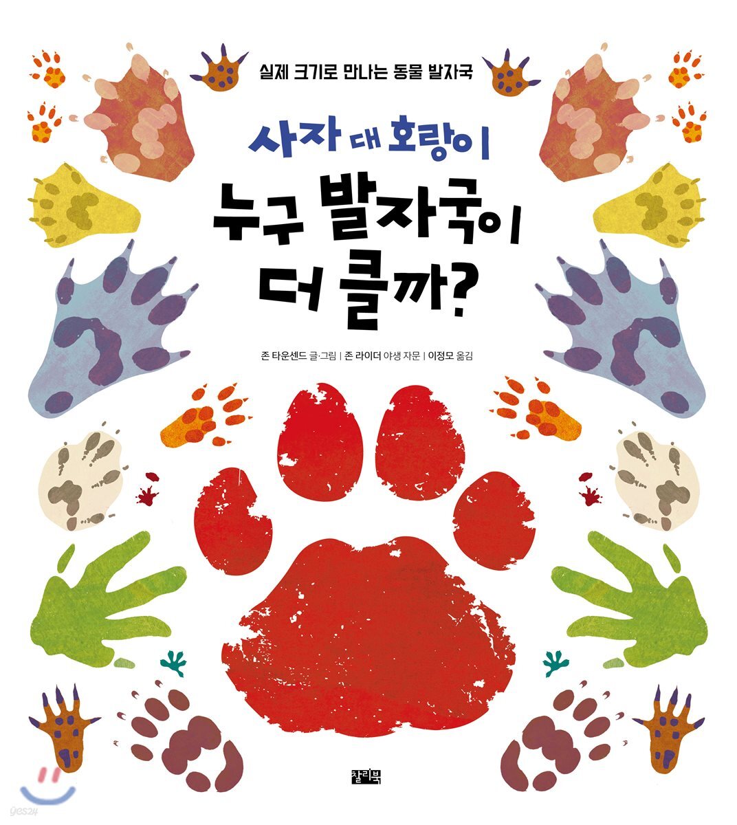 사자 대 호랑이 누구 발자국이 더 클까?