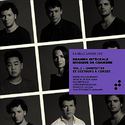브람스: 현악 오중주 & 현악 육중주 전곡 (Brahms: Complete String Quintets & String Sextets) (2CD)(Digipack) - Pierre Fouchenneret