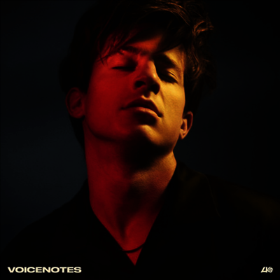 Charlie Puth — Voicenotes 앨범 커버