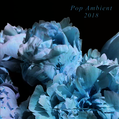 Various Artists — Pop Ambient 2018 앨범 커버