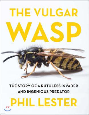 The Vulgar Wasp