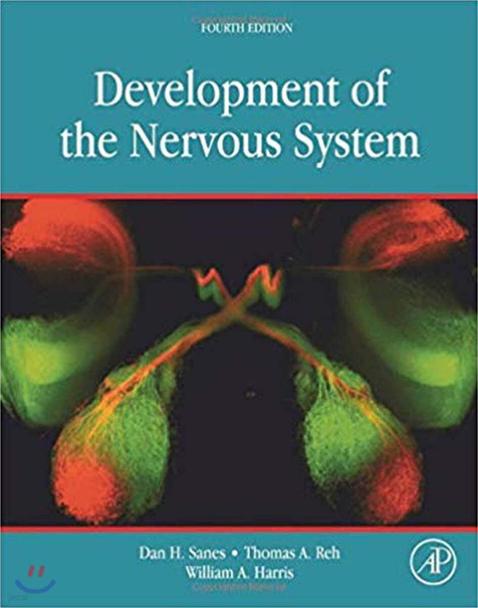 Development of the Nervous System