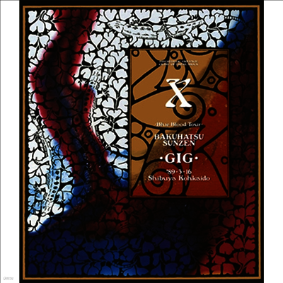 X-Japan (엑스 재팬) - Visual Shock Vol.3.5 Say Anything X Ballad