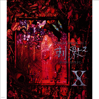 X-Japan (엑스 재팬) - Visual Shock Vol.3.5 Say Anything X Ballad