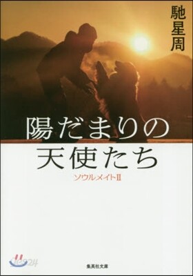 ソウルメイト(2)陽だまりの天使たち