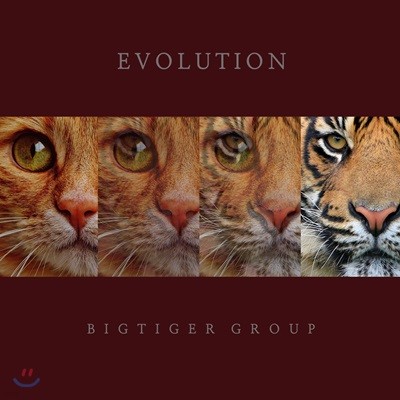 Ÿ̰ ׷ (Bigtiger Group) - Evolution