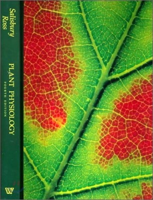 Plant Physiology