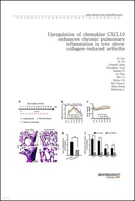 Upregulation of chemokine CXCL10 enhances chronic pulmonary inflammation in tree shrew collagen-induced arthritis