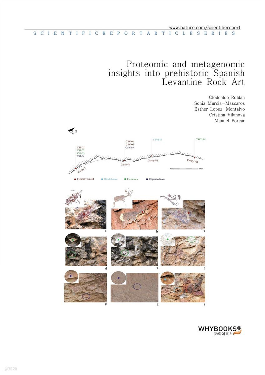 Proteomic and metagenomic insights into prehistoric Spanish Levantine Rock Art