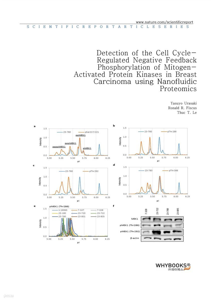 Detection of the Cell Cycle-Regulated Negative Feedback Phosphorylation of Mitogen-Activated Protein Kinases in Breast Carcinoma using Nanofluidic Proteomics