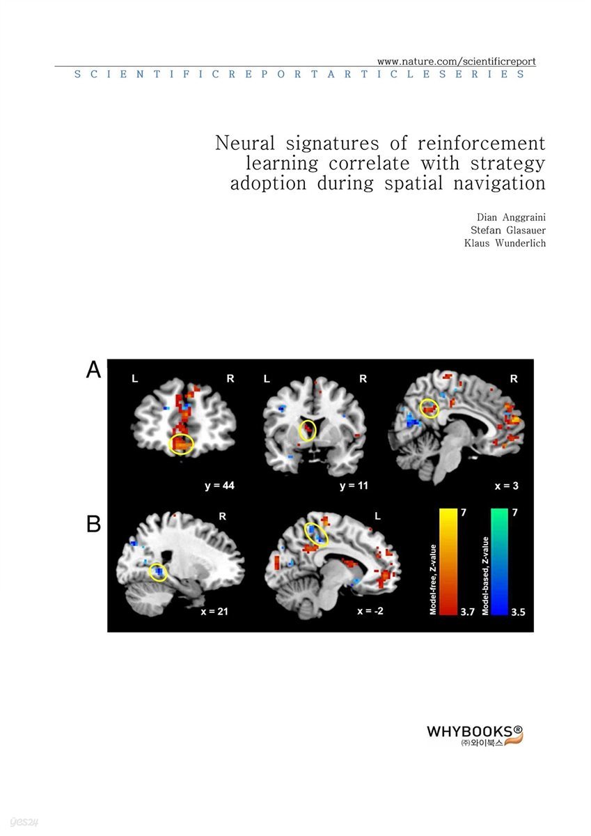 Neural signatures of reinforcement learning correlate with strategy adoption during spatial navigation