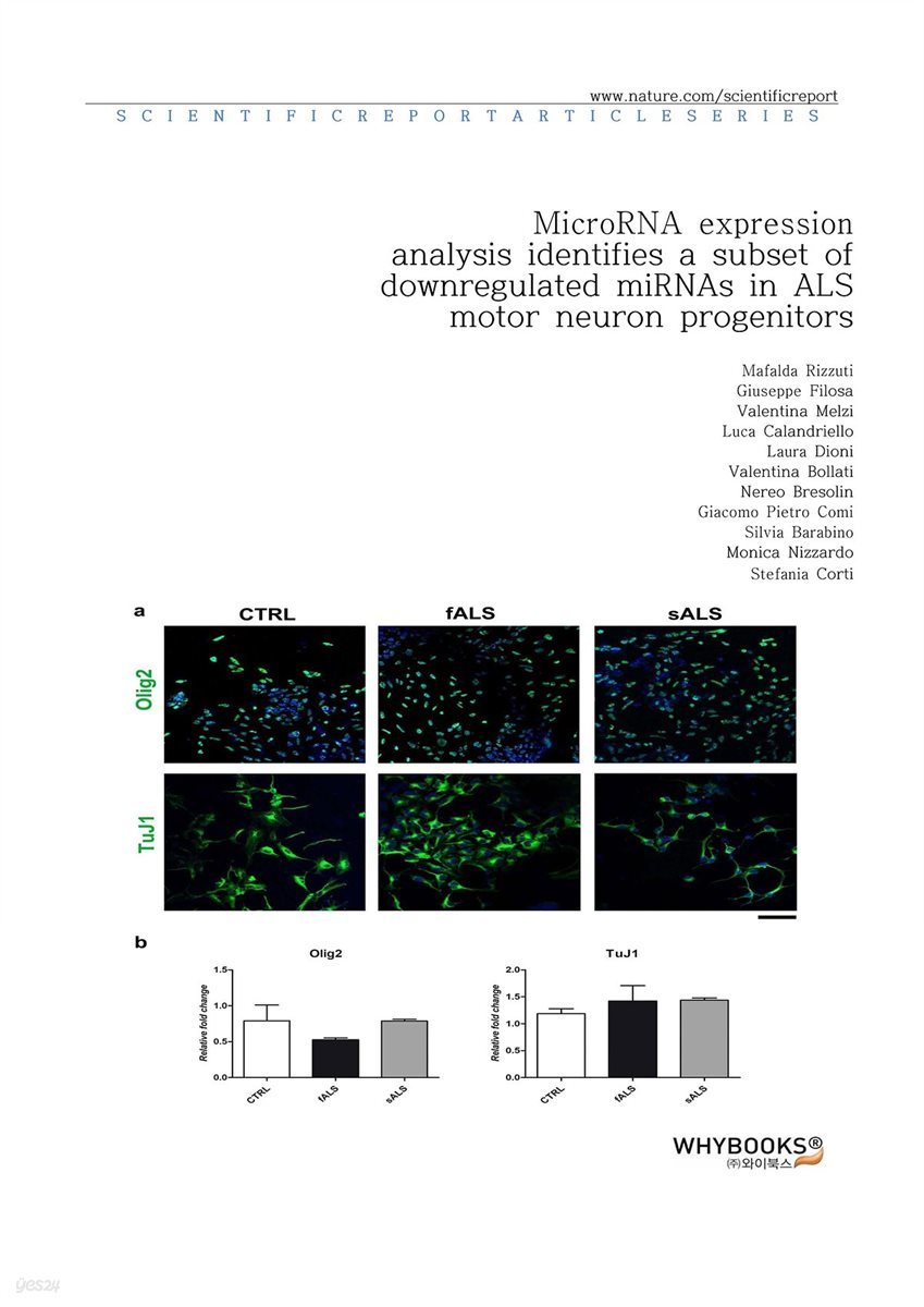 MicroRNA expression analysis identifies a subset of downregulated miRNAs in ALS motor neuron progenitors