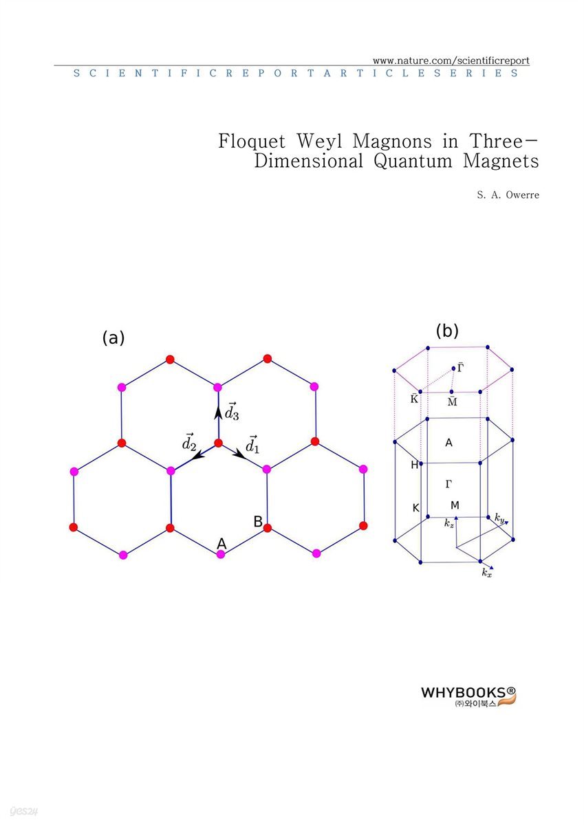 Floquet Weyl Magnons in Three-Dimensional Quantum Magnets