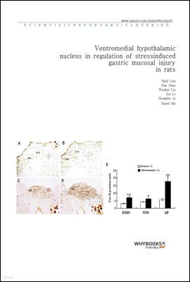 Ventromedial hypothalamic nucleus in regulation of stress-induced gastric mucosal injury in rats