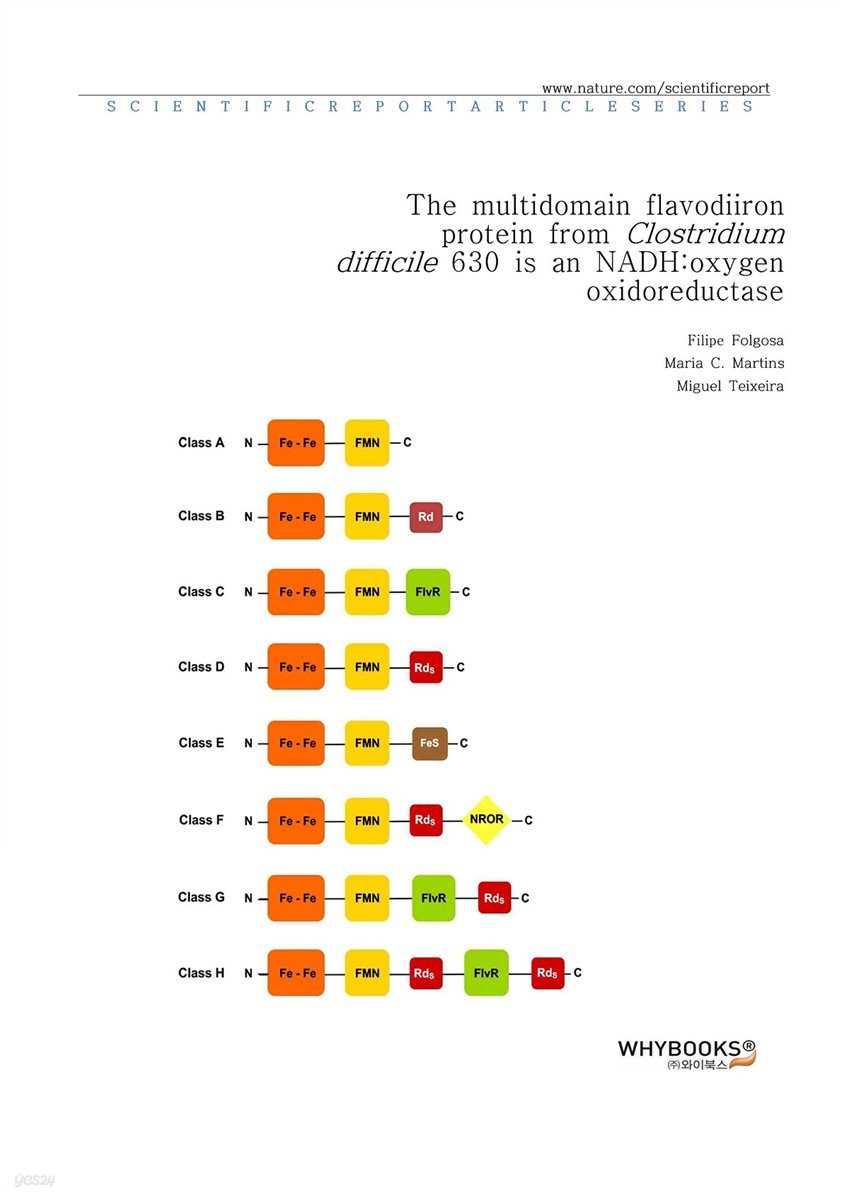 The multidomain flavodiiron protein from Clostridium difficile 630 is an NADHoxygen oxidoreductase