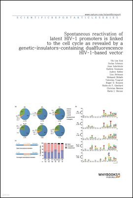 Spontaneous reactivation of latent HIV-1 promoters is linked to the cell cycle as revealed by a genetic-insulators-containing dual-fluorescence HIV-1-based vector