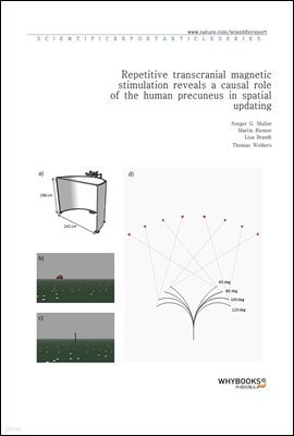 Repetitive transcranial magnetic stimulation reveals a causal role of the human precuneus in spatial updating