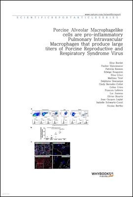 Porcine Alveolar Macrophage-like cells are pro-inflammatory Pulmonary Intravascular Macrophages that produce large titers of Porcine Reproductive and Respiratory Syndrome Virus