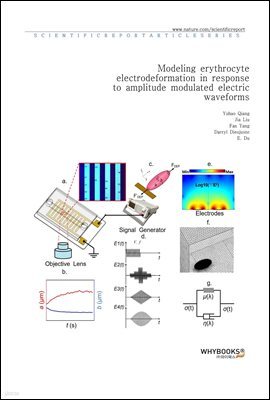 Modeling erythrocyte electrodeformation in response to amplitude modulated electric waveforms