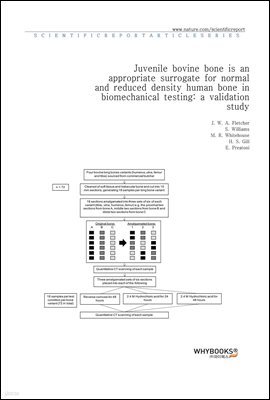 Juvenile bovine bone is an appropriate surrogate for normal and reduced density human bone in biomechanical testing a validation study