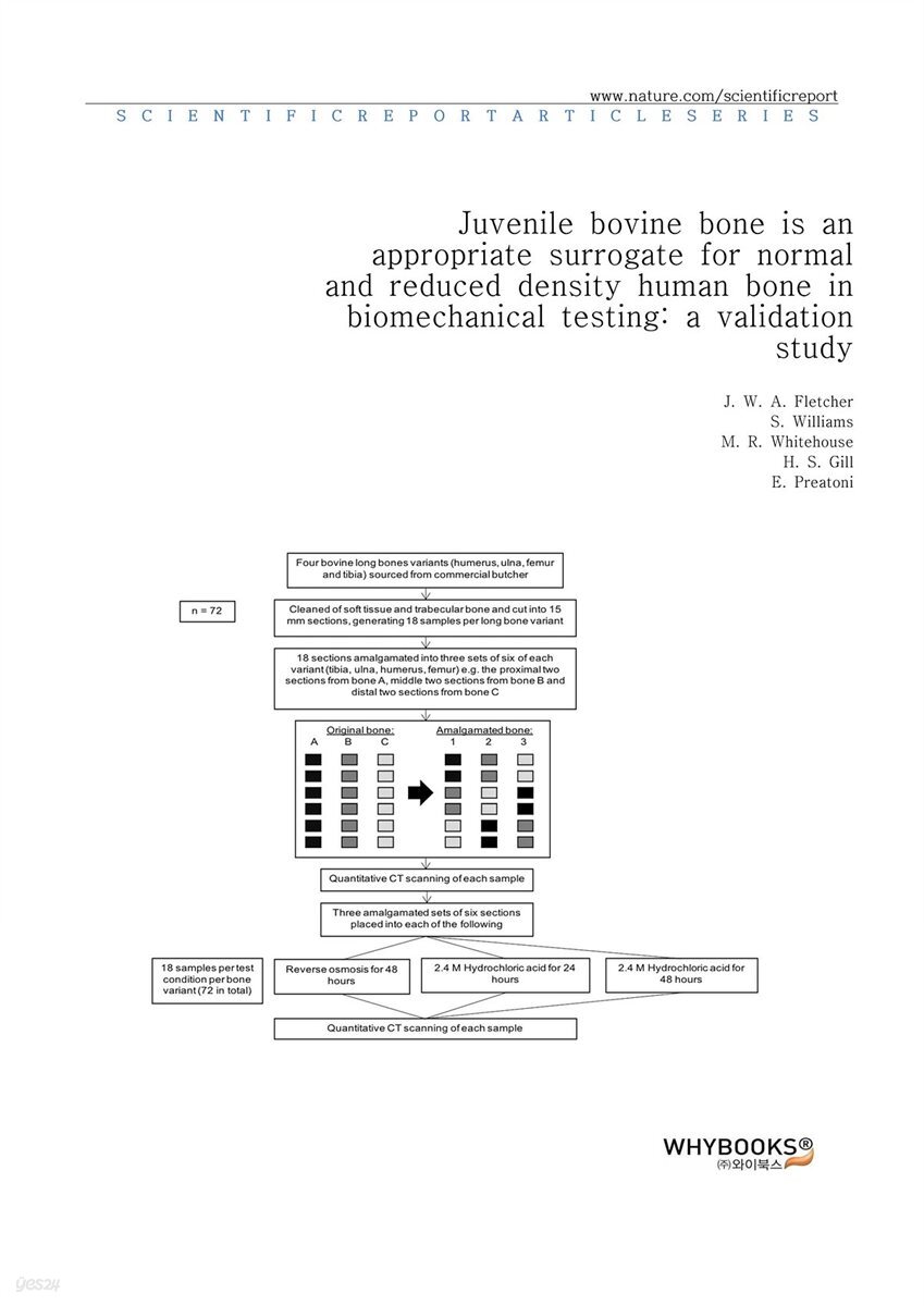 Juvenile bovine bone is an appropriate surrogate for normal and reduced density human bone in biomechanical testing a validation study
