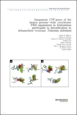 Integument CYP genes of the largest genome-wide cytochrome P450 expansions in triatomines participate in detoxification in deltamethrin-resistant Triatoma infestans