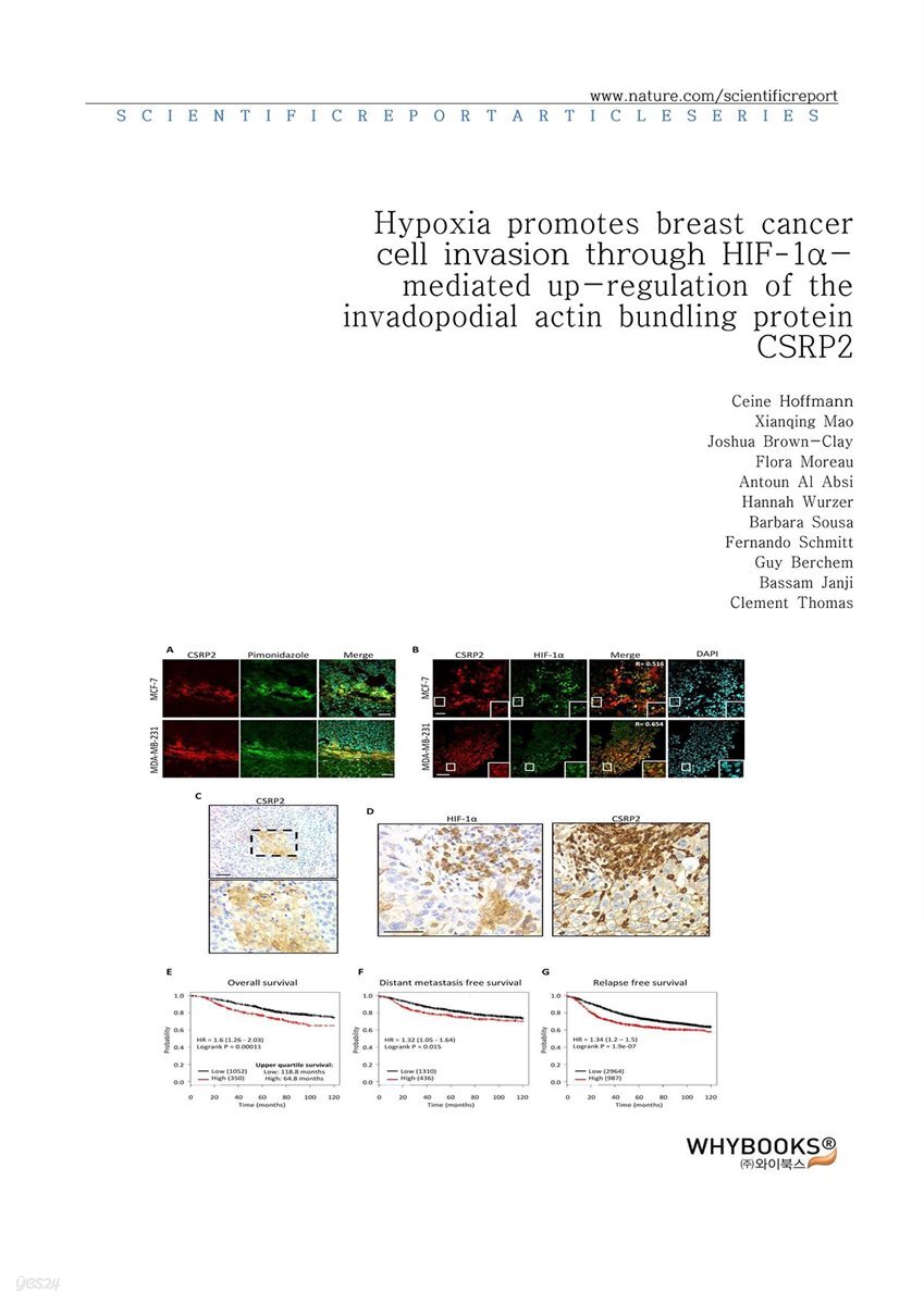 Hypoxia promotes breast cancer cell invasion through HIF-1α-mediated up-regulation of the invadopodial actin bundling protein CSRP2