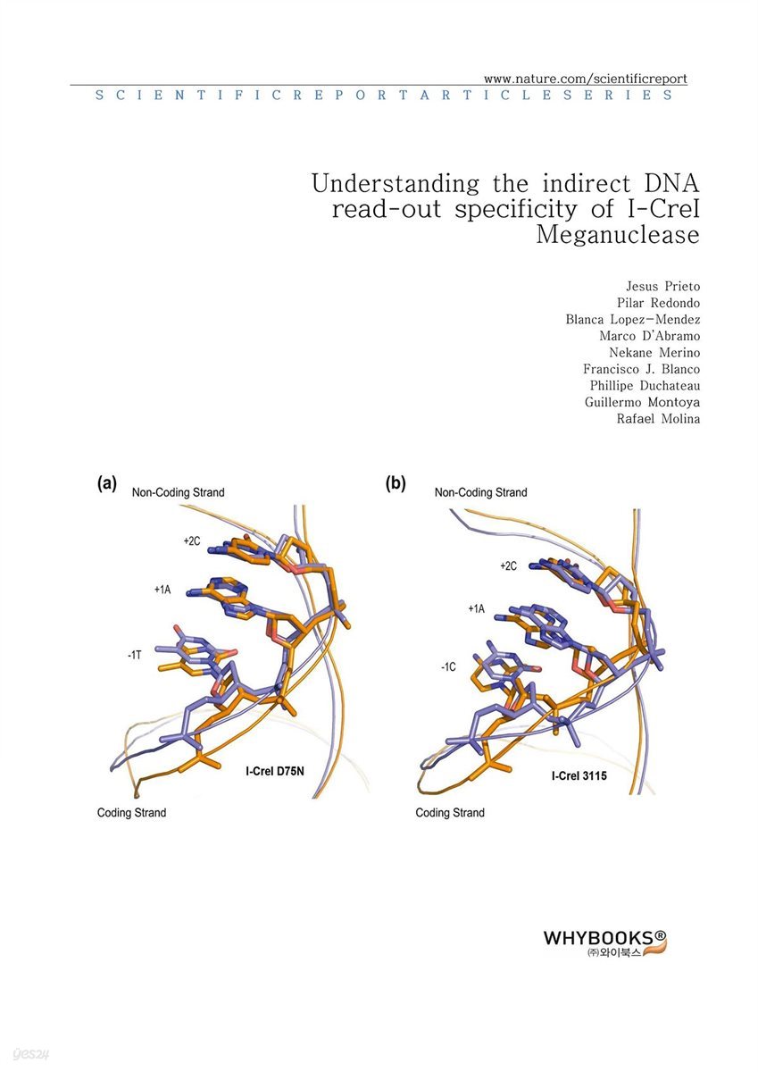 Understanding the indirect DNA read-out specificity of I-CreI Meganuclease