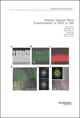 Plasma-Induced Phase Transformation of SnS2 to SnS