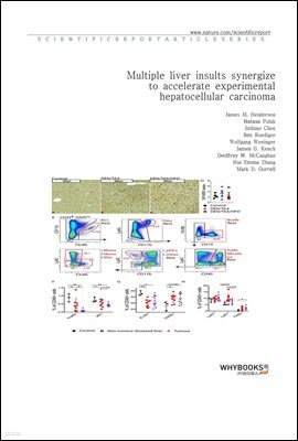 Multiple liver insults synergize to accelerate experimental hepatocellular carcinoma