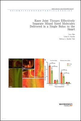 Knee Joint Tissues Effectively Separate Mixed Sized Molecules Delivered in a Single Bolus to the Heart