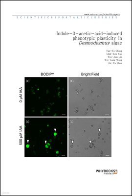 Indole-3-acetic-acid-induced phenotypic plasticity in Desmodesmus algae