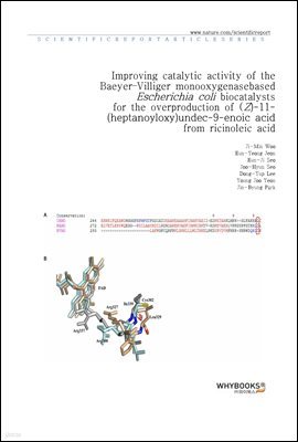 Improving catalytic activity of the Baeyer?Villiger monooxygenase-based Escherichia coli biocatalysts for the overproduction of (Z)-11-(heptanoyloxy)undec-9-enoic acid from ricinoleic acid