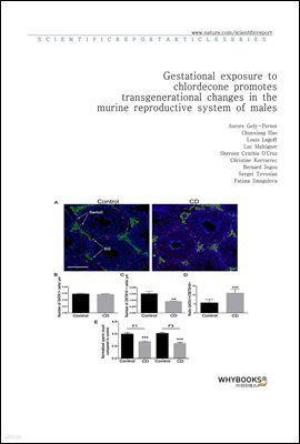 Gestational exposure to chlordecone promotes transgenerational changes in the murine reproductive system of males