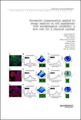 Geometric compensation applied to image analysis of cell populations with morphological variability a new role for a classical concept